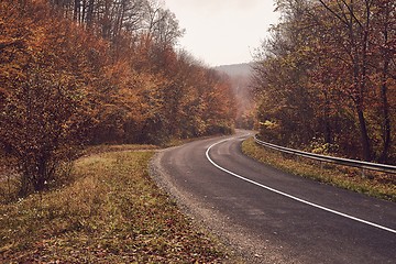 Image showing Autumn road