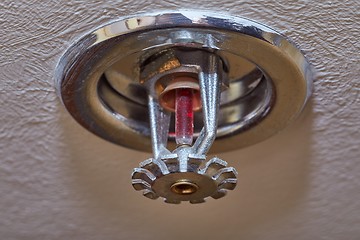 Image showing Fire Safety Sprinkler