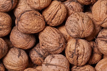 Image showing Walnuts in a pile