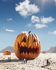 Image showing Big pumpkin in desert at sunny day, sales and halloween concept