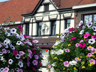 Image showing House with flowers