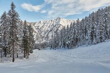 Image showing Skiing slopes from the top