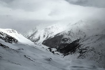 Image showing Winter forest snow storm and fog