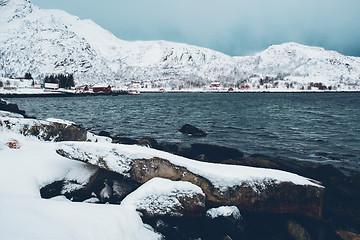 Image showing Norwegian fjord with red rorbu houses in Norway in winter