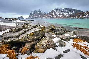 Image showing Rocky coast of fjord in Norway