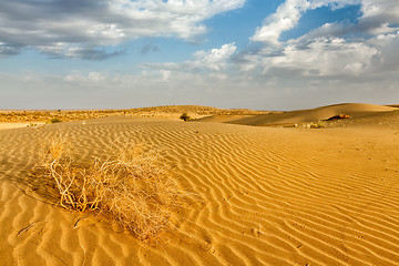 Image showing Sand dunes in desert