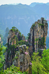 Image showing Zhangjiajie mountains, China