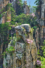 Image showing Zhangjiajie mountains, China