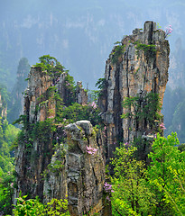 Image showing Zhangjiajie mountains, China