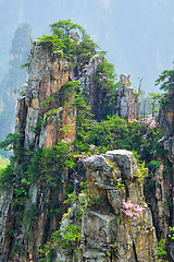 Image showing Zhangjiajie mountains, China