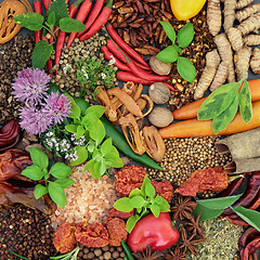 Image showing Herbs and Spices 