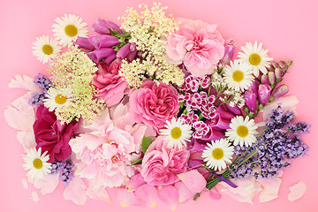 Image showing Summer Flowers and Herbs