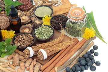 Image showing Adaptogen Herbal Medicine and Food Selection