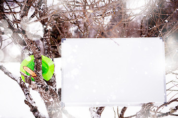 Image showing whiteboard on winter tree