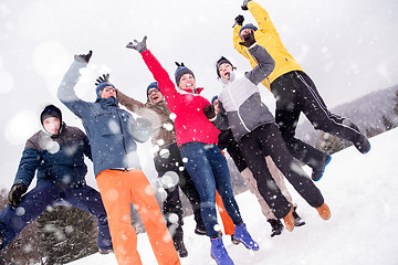 Image showing portrait of group young people in beautiful winter landscape