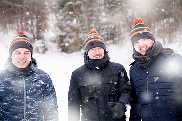 Image showing portrait of group young people in beautiful winter landscape