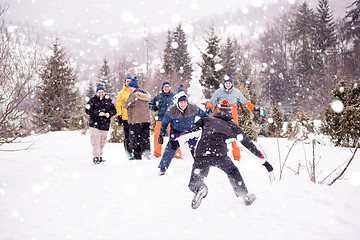 Image showing group of young people having fun in beautiful winter landscape