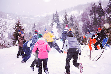 Image showing group of young people having fun in beautiful winter landscape