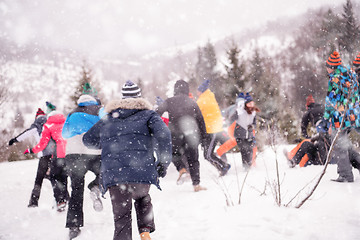 Image showing group of young people having fun in beautiful winter landscape