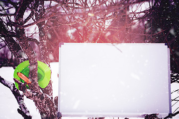 Image showing whiteboard on winter tree