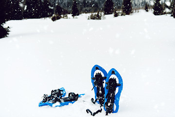 Image showing Blue snowshoes in fresh show