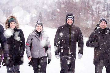 Image showing group of young people walking through beautiful winter landscape