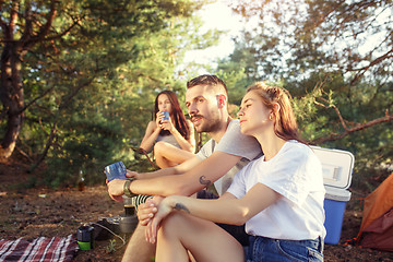 Image showing Party, camping of men and women group at forest. They relaxing