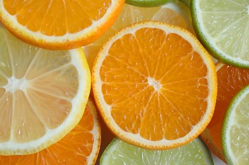 Image showing Fruit Slices