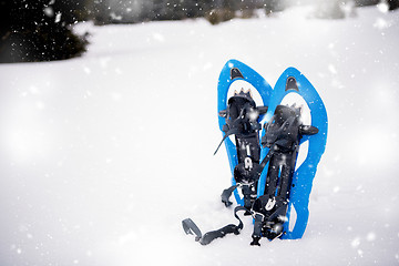 Image showing Blue snowshoes in fresh show