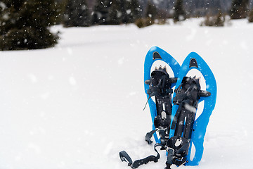 Image showing Blue snowshoes in fresh show