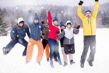 Image showing portrait of group young people in beautiful winter landscape