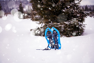 Image showing Blue snowshoes in fresh show