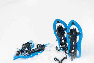 Image showing Blue snowshoes in fresh show