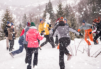 Image showing group of young people having fun in beautiful winter landscape