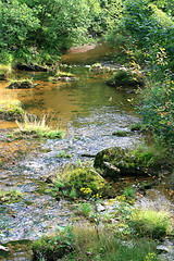 Image showing Stream in the Green