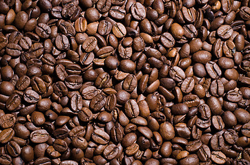 Image showing Coffee beans