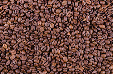 Image showing Coffee beans