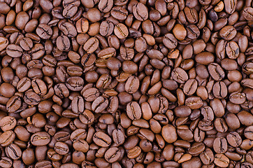 Image showing Coffee beans