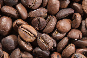 Image showing Coffee beans