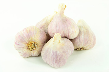 Image showing Argentinean Garlic. 