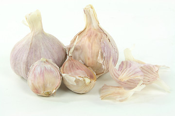 Image showing Argentinean Garlic Bulbs. 