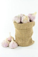 Image showing Garlic in burlap bag. 