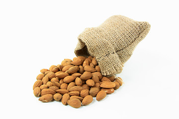 Image showing Spilled Natural Whole Almonds. 