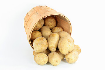 Image showing Potatoes. 