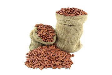 Image showing Beans. 