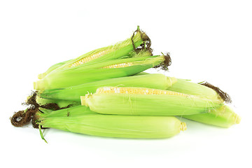 Image showing Pile of Ears of corn. 