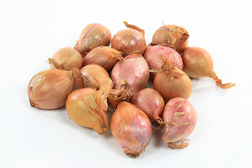 Image showing French Shallots. 