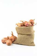 Image showing French Shallots in burlap bag. 