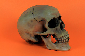 Image showing Halloween prop. 