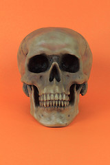 Image showing Halloween prop - vertical. 